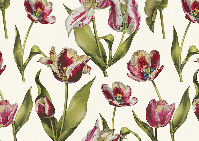 Carries, Cosmos - Made to Measure Curtains - Image 8